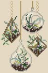 (image for) Hanging Succulents